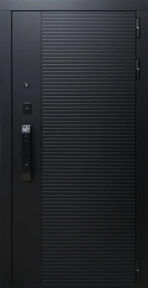 ДМ ЭНИГМА БИОМЕТРИЯ