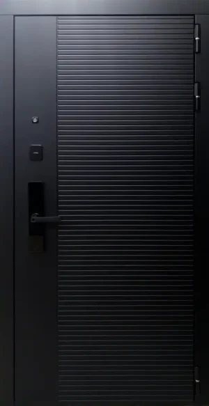 ДМ ЭНИГМА БИОМЕТРИЯ S10